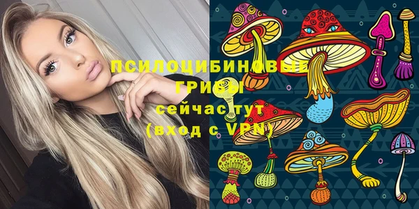 метадон Михайлов