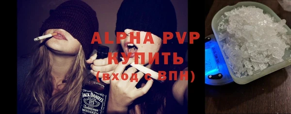 гидра Михайловка
