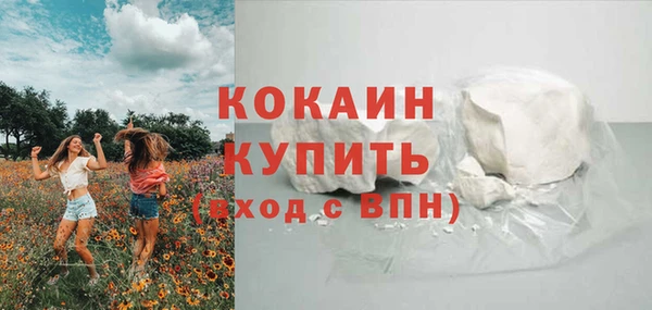 гидра Михайловка