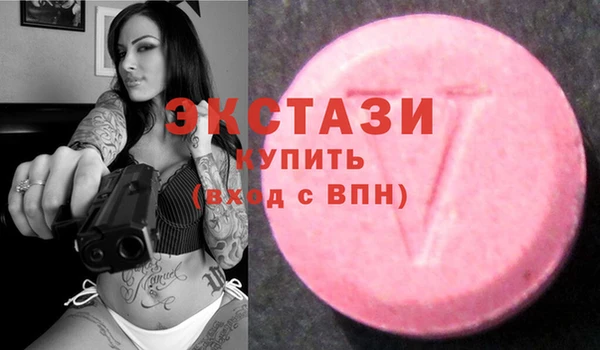 гидра Михайловка