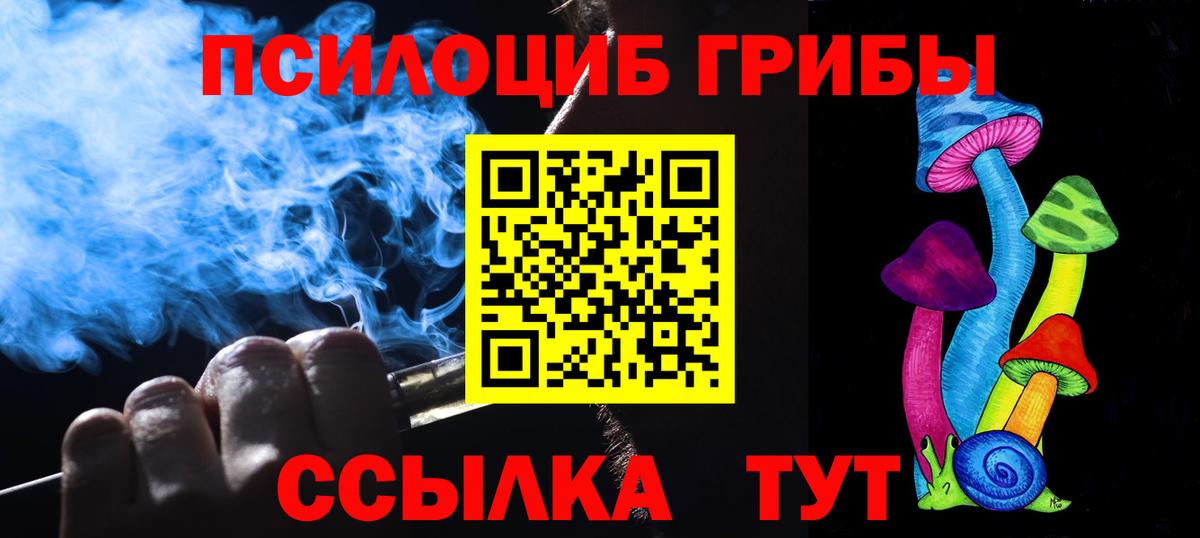 Псилоцибиновые грибы прущие грибы  Вход с VPN  Братск 