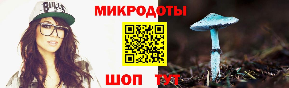 Галлюциногенные грибы мухоморы Братск